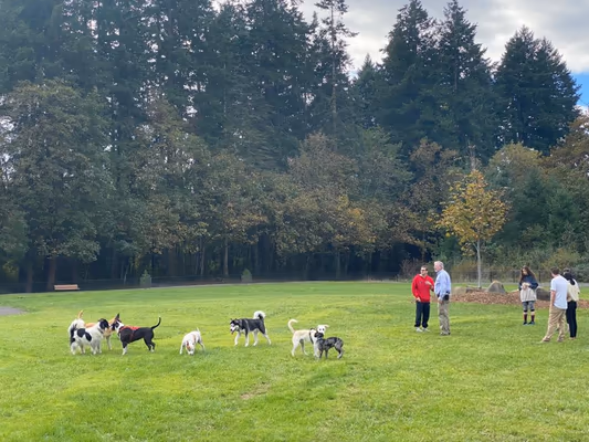 Dog Park at Willow Oaks Park photo 1